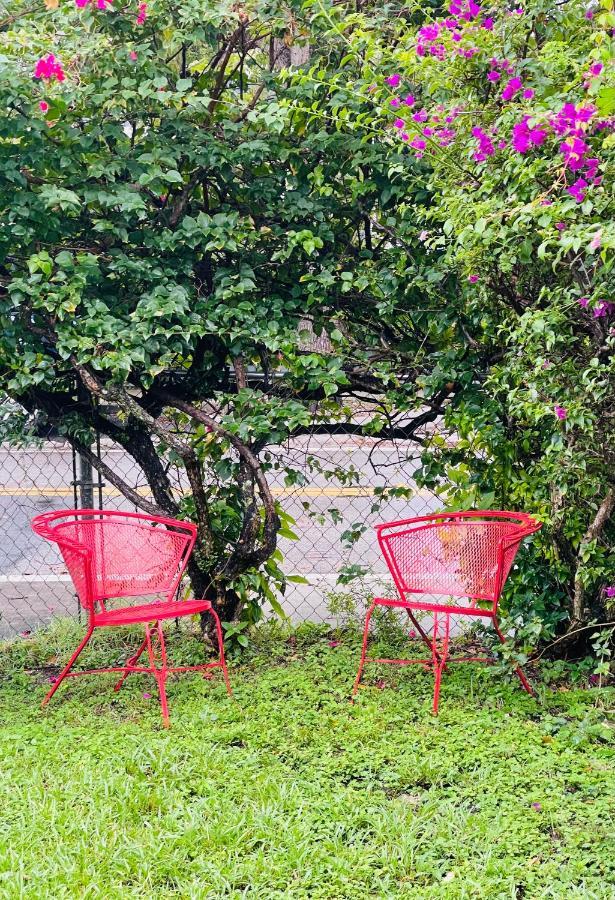מיאמי Key West Style Historic Home In Coconut Grove Florida The Yellow House מראה חיצוני תמונה